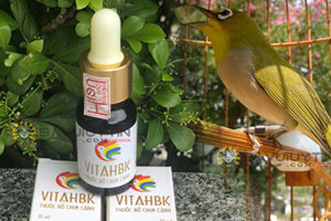 Vitamin HBK Dùng Cho Những Chú Chim Có Biểu Hiện Như Thế Nào? 
