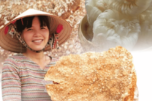 Top 3 Đặc Sản Bắc Giang Nhất Định Phải Thử: Bánh Đa Kế, Bánh Đa Thổ Hà và Mỳ Chũ