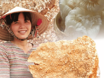 Top 3 Đặc Sản Bắc Giang Nhất Định Phải Thử: Bánh Đa Kế, Bánh Đa Thổ Hà và Mỳ Chũ